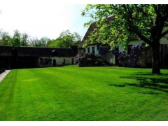 别墅庭院子家用天然草坪