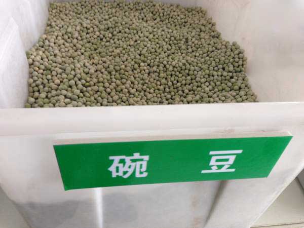 豌豆种子图片