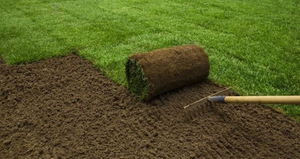 『暖季型草坪』全年植保解决方案！