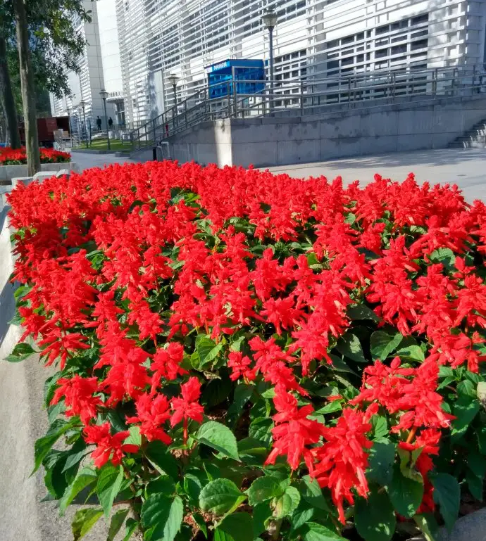 1675488477460888.png 微信图片_20221120164439.png